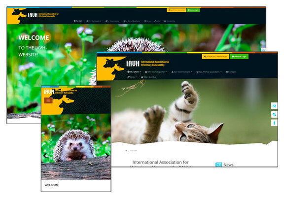 Website IAVH.org Website IAVH.org