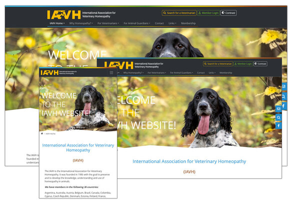 Screenshots Website IAVH